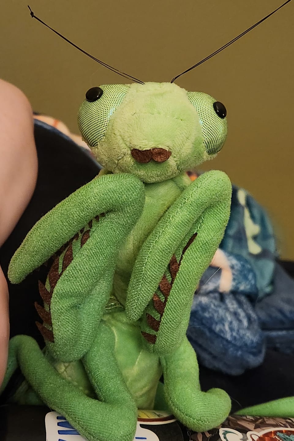 Customer photo review of Green Chinese Mantis Soft Stuffed Plush Toy