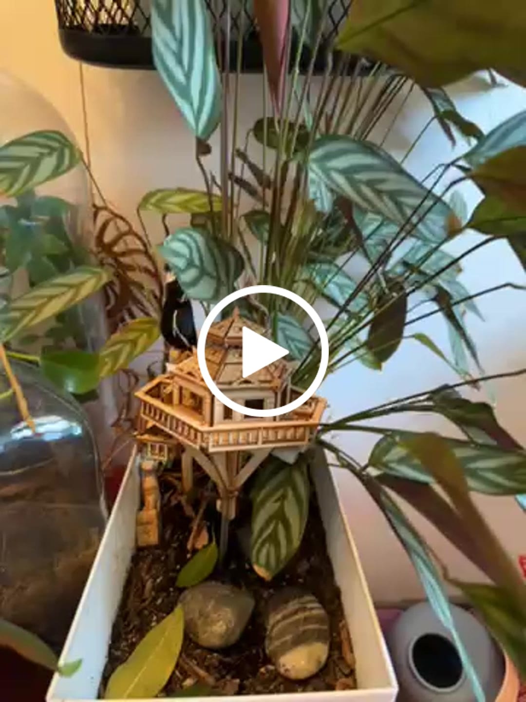 Customer video review of Woodland Outpost
