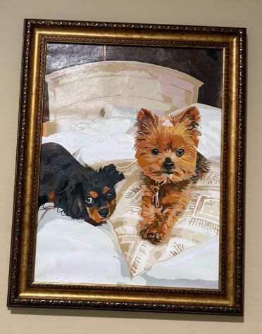 Customer photo review of Custom Pet Paint By Numbers