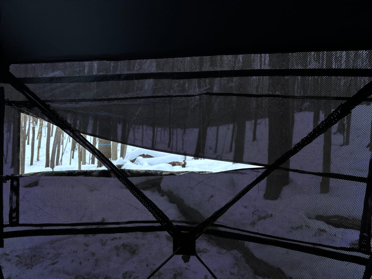 Customer photo review of FLASH SALE VisX/VisMax See Through Hunting Blind, Pop Up Ground Deer Blind