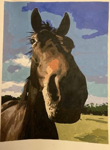 Customer photo review of Custom Pet Paint By Numbers