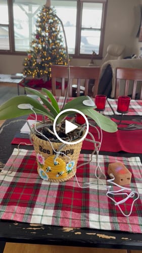 Customer video review of PlantWave