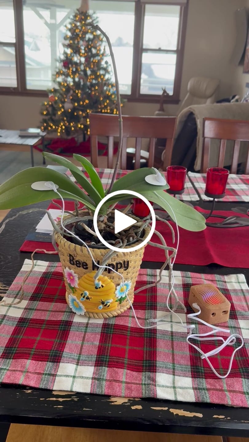 Customer video review of PlantWave