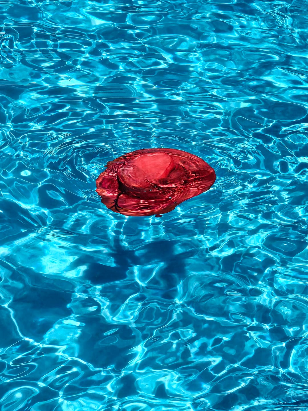 Customer photo review of Digger Hat, Raspberry