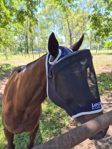 Customer photo review of LE Outback Fly Mask Original