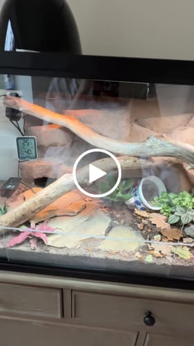 Customer video review of 50 Gallon Reptile Enclosure 36x18x18