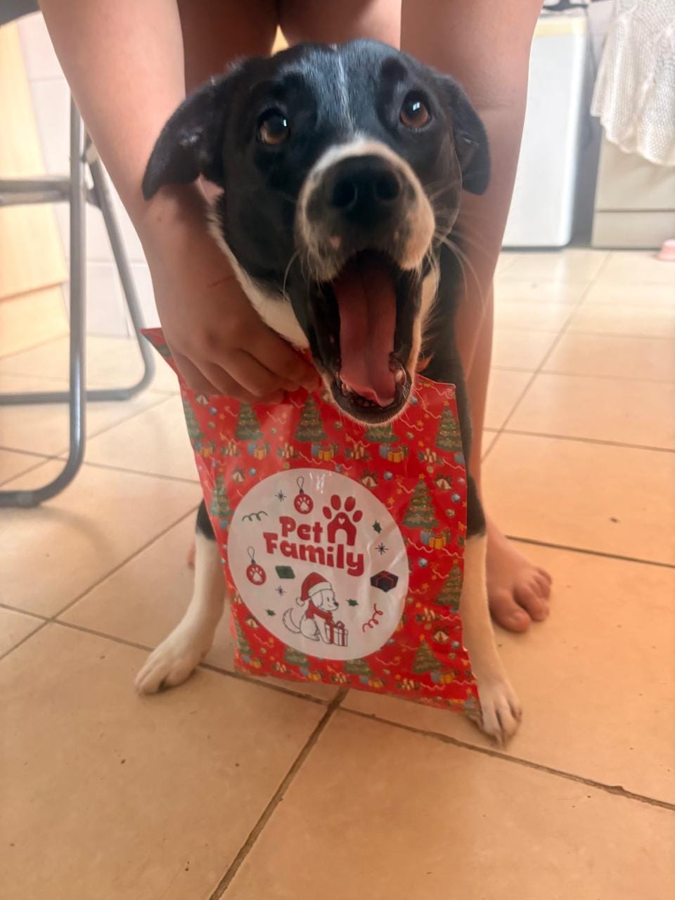 Customer photo review of PetFamily Cookies