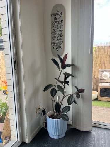 Customer photo review of NICE VIEW – OFF WHITE