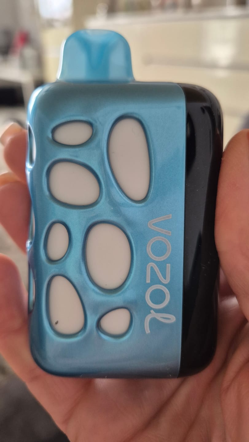 Customer photo review of Vozol Rave 40.000