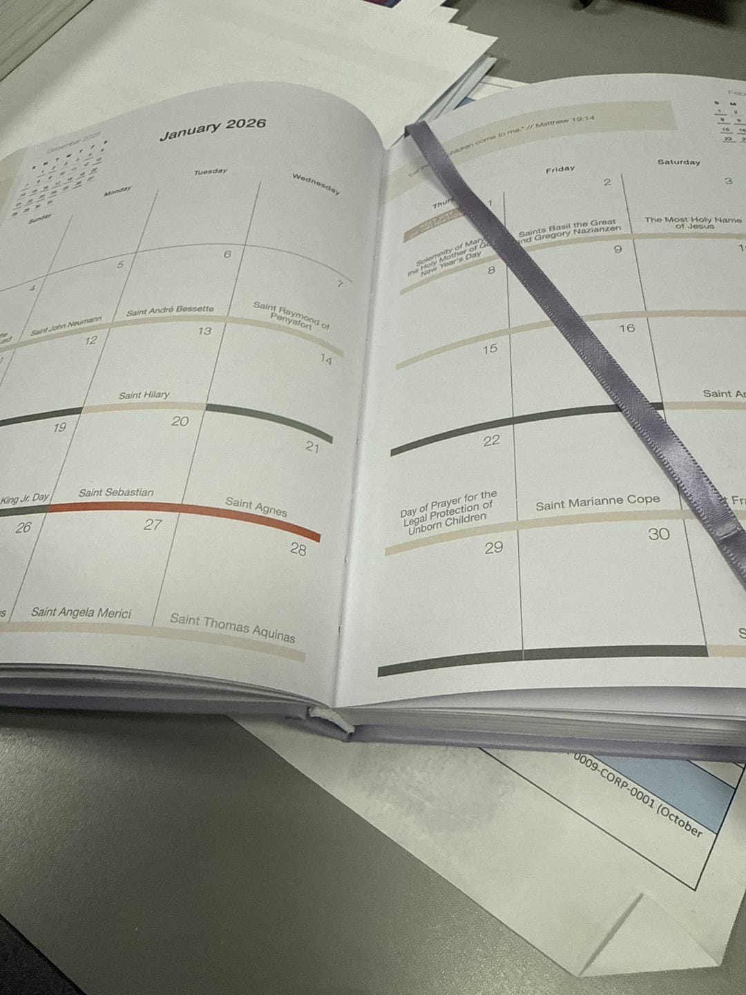 Customer photo review of 2026 Calendar Year Catholic Liturgical Planner // Mini Layout