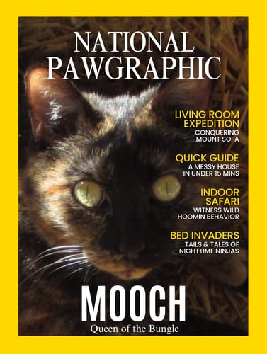 Customer photo review of Personalized Pet Magazine Mug