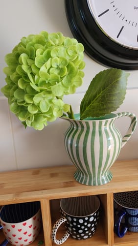Customer photo review of Green Hydrangea