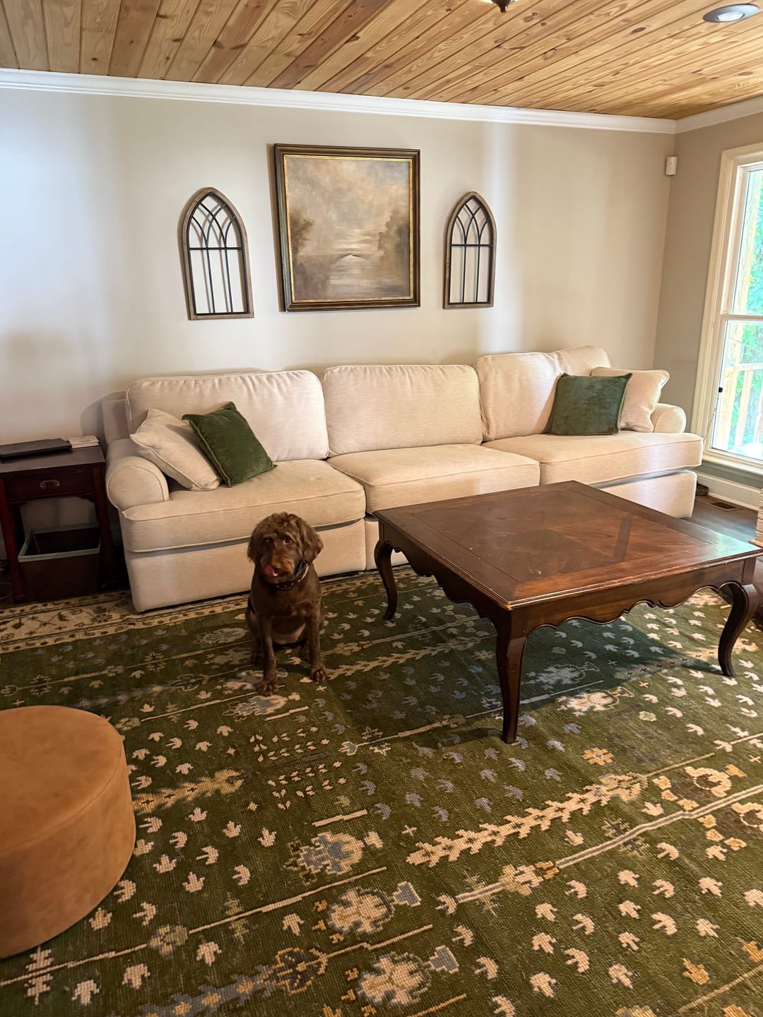 Customer photo review of Hand Knotted Royal Green and Ivory Traditional Turkish Style Tree Of Life Multi Size Wool Area Rug