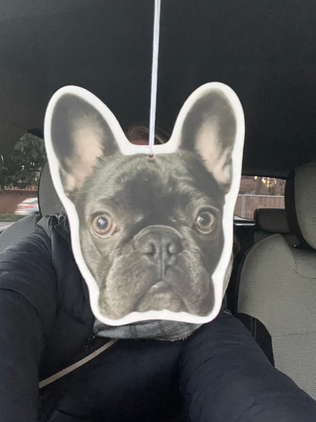 Customer photo review of Personalised Custom Car Air Freshener With Your Photo