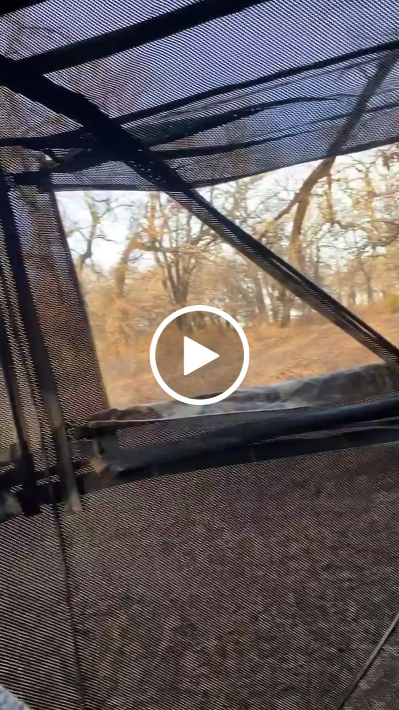 Customer video review of FLASH SALE VisX/VisMax See Through Hunting Blind, Pop Up Ground Deer Blind