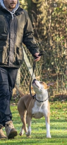 Customer photo review of Langgliedrige Eastside Chain