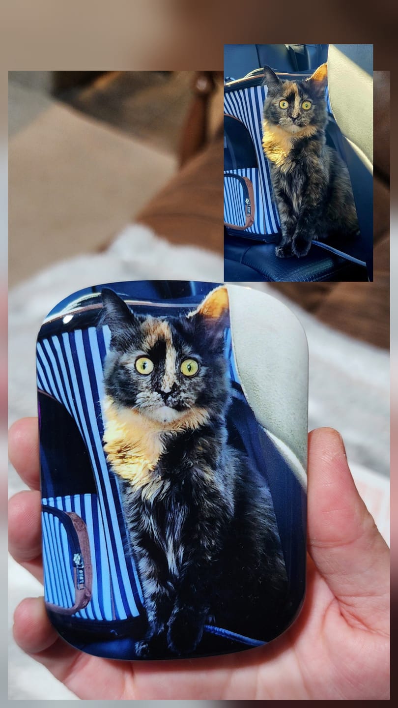 Customer photo review of Custom - ChargePod - Battery + Shell