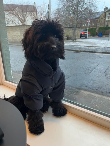Customer photo review of Midnight | The Modular Puffer