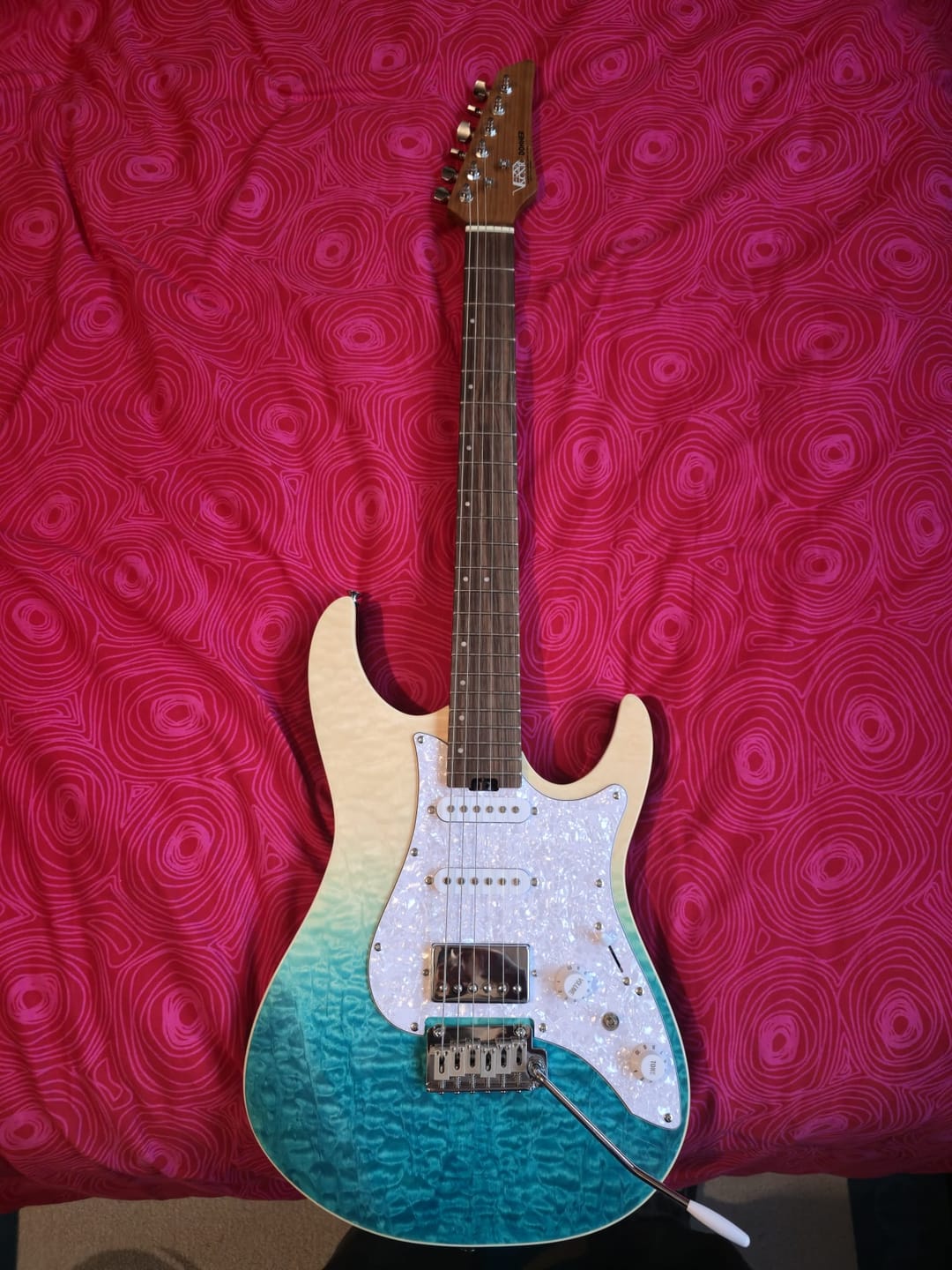 Customer photo review of Donner DST-550 Electric Guitar