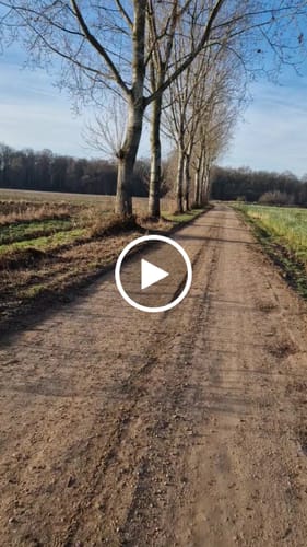 Customer video review of Reef Photochromic Sunglasses