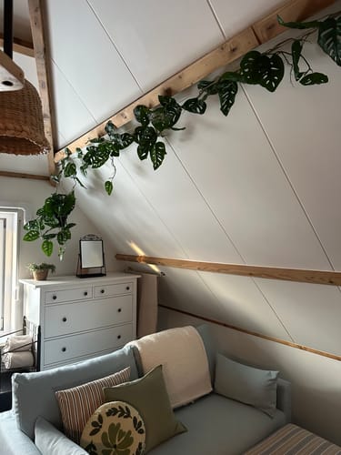 Customer photo review of Monstera Monkey Bush Kunst Hangplant 95cm