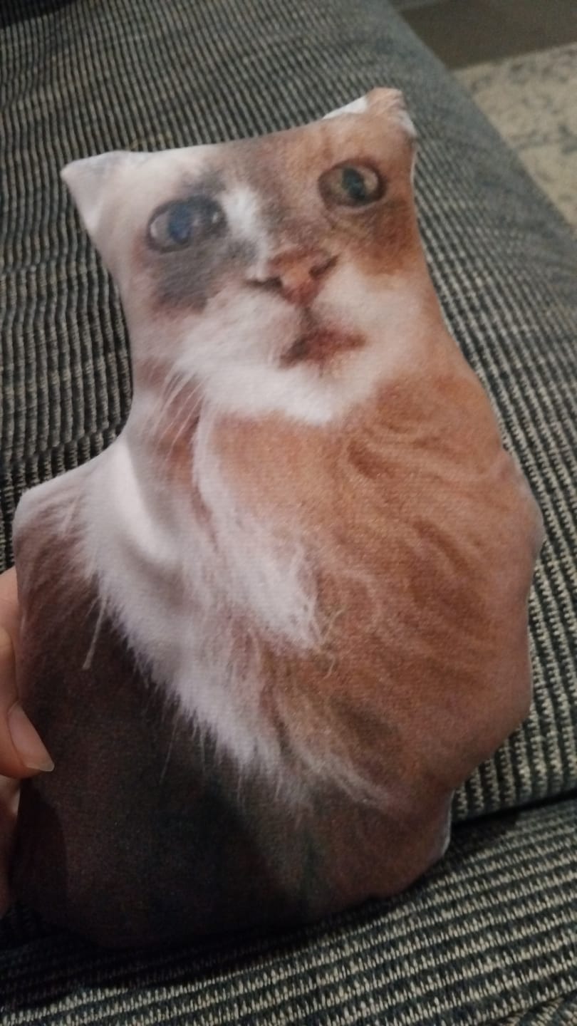 Customer photo review of Custom Pet Pillow