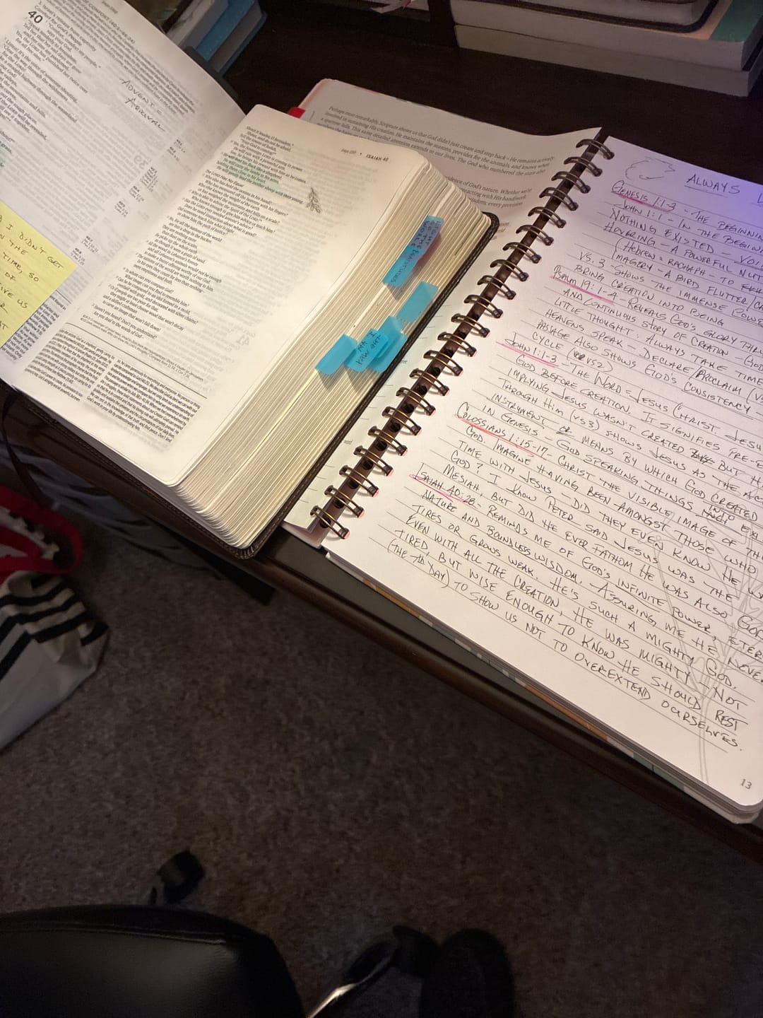 Customer photo review of Spiral Bible™ Transparent Sticky Notes