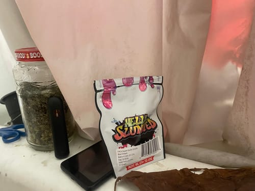 Customer photo review of FREE SAMPLE (with code) THCa Flower