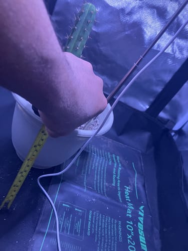Customer photo review of Heat Pack | Winter Shipping Upgrade