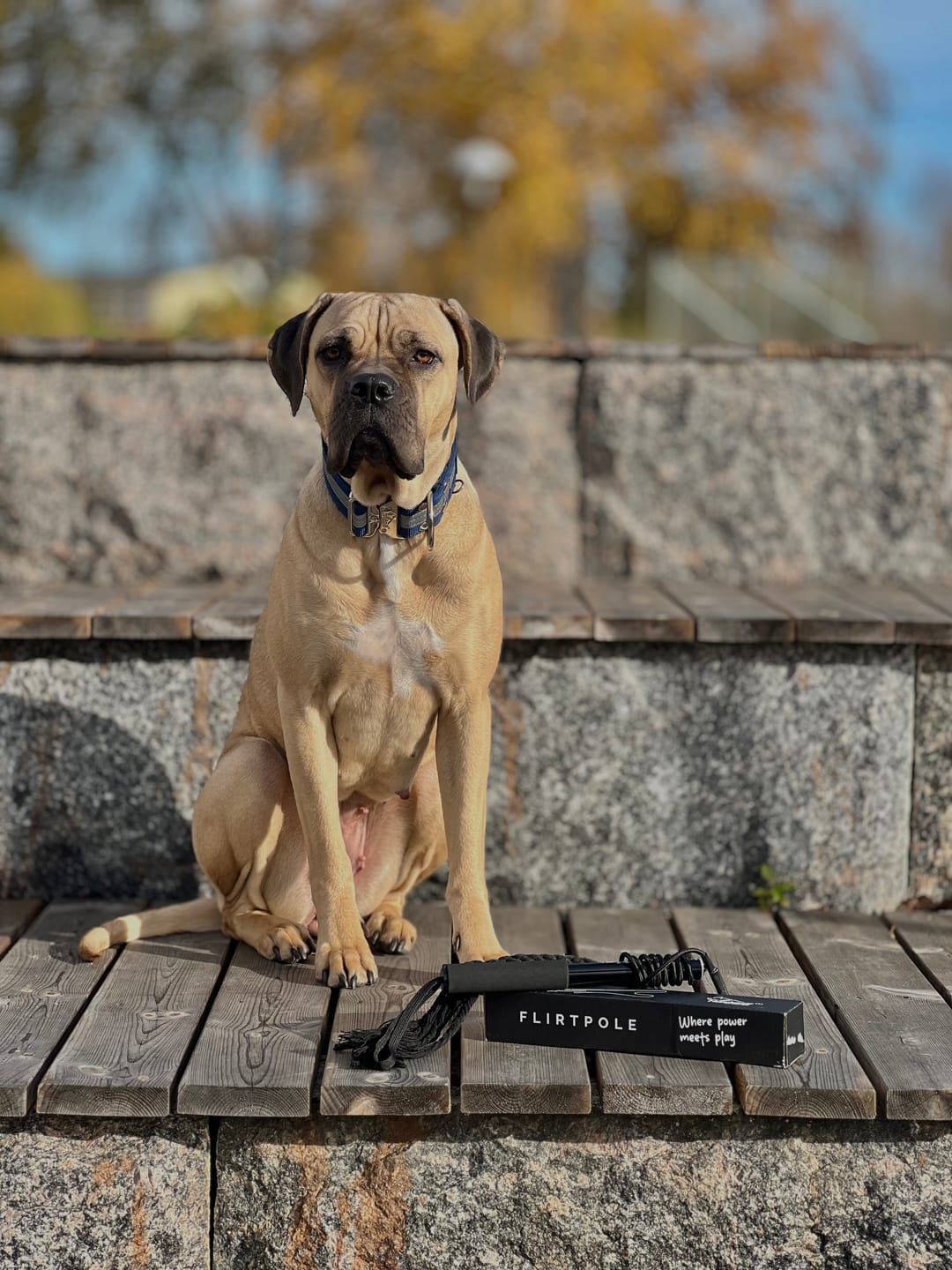 Customer photo review of Utdragbar Flirtpole