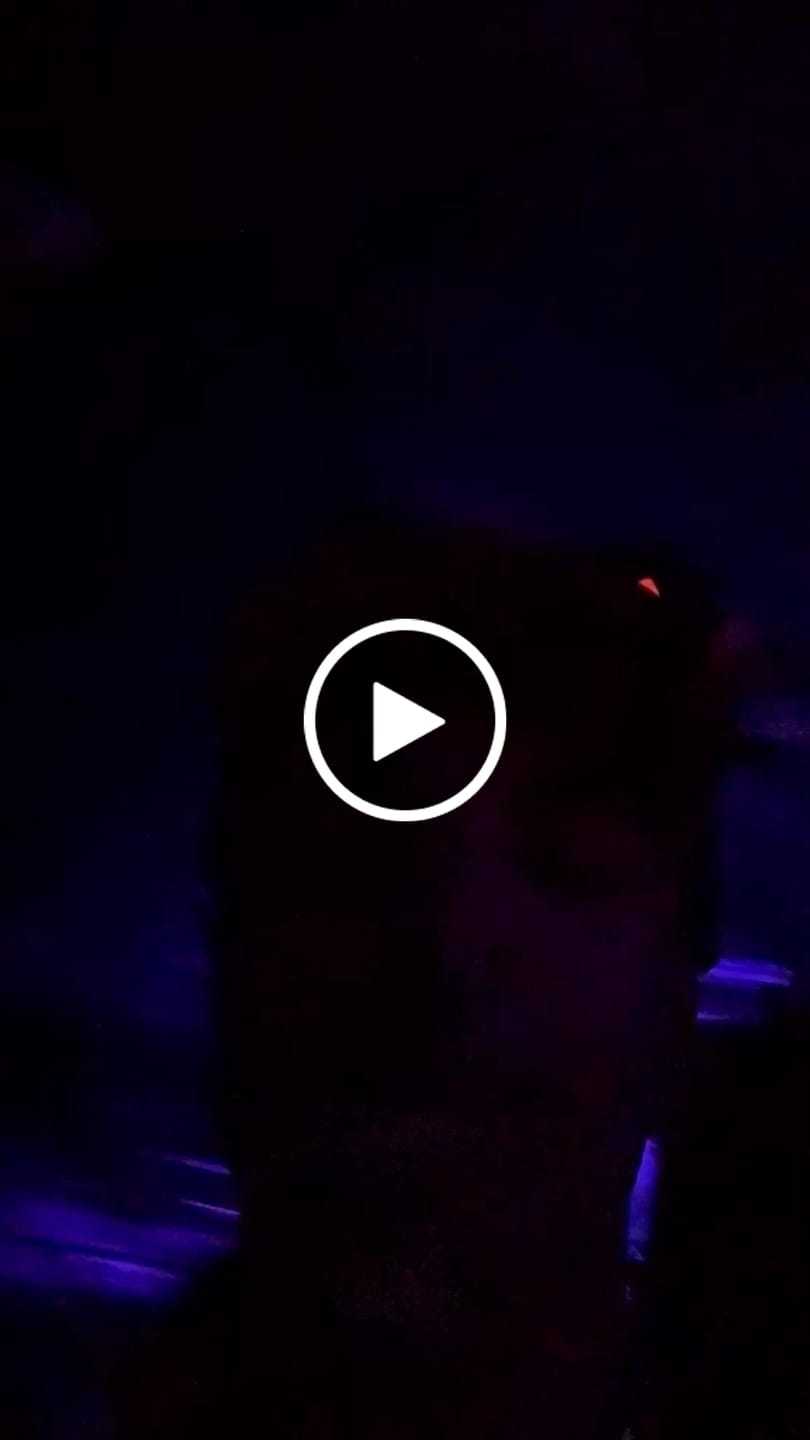 Customer video review of LED Infinity Mirror Cat Ears