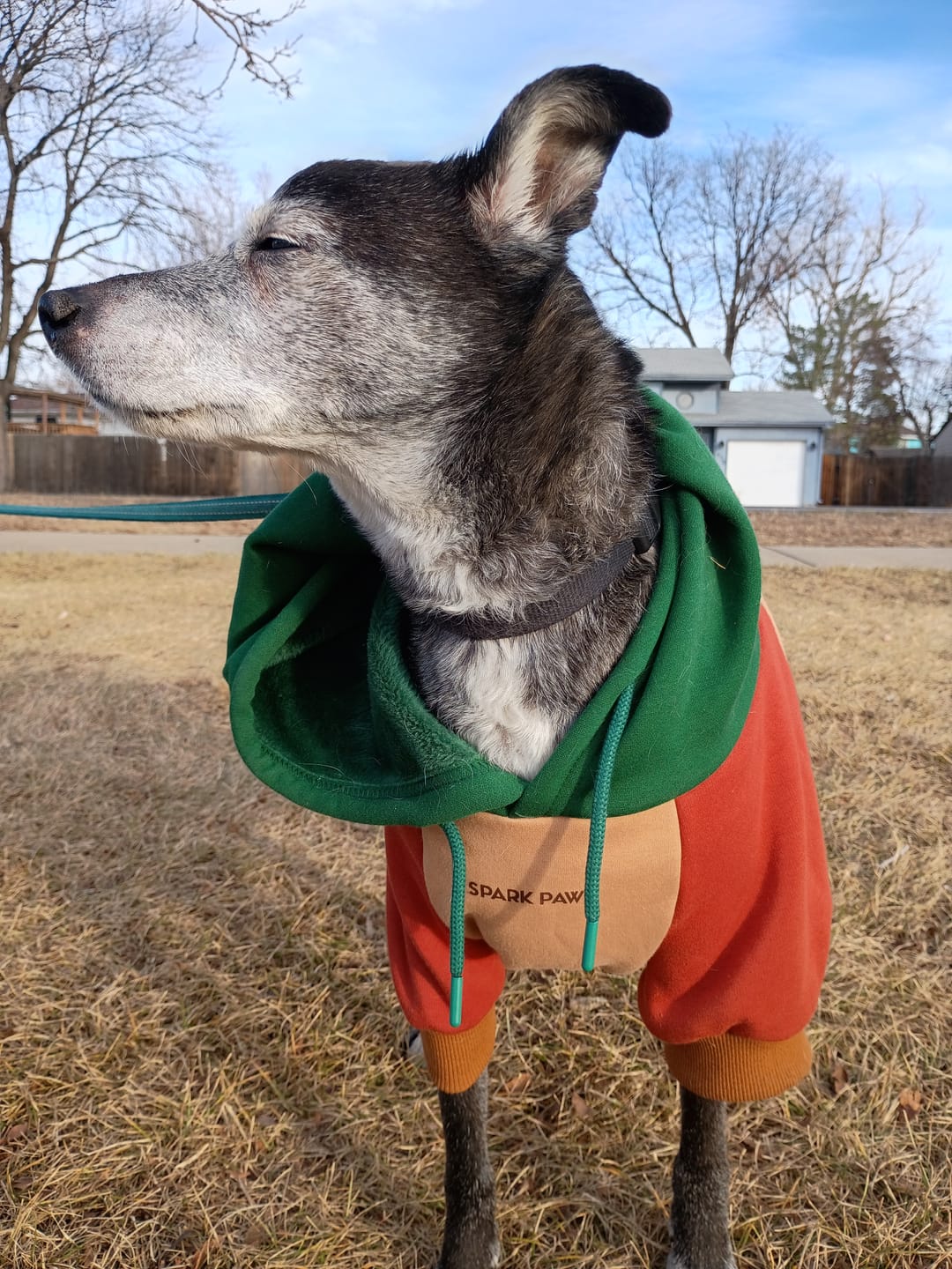 Customer photo review of Ranger Dog Hoodie