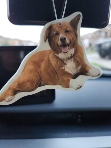 Customer's custom air freshener, shaped like a happy dog, hanging from a car's rearview mirror.
