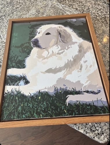 Customer photo review of Custom Paint By Numbers Kit