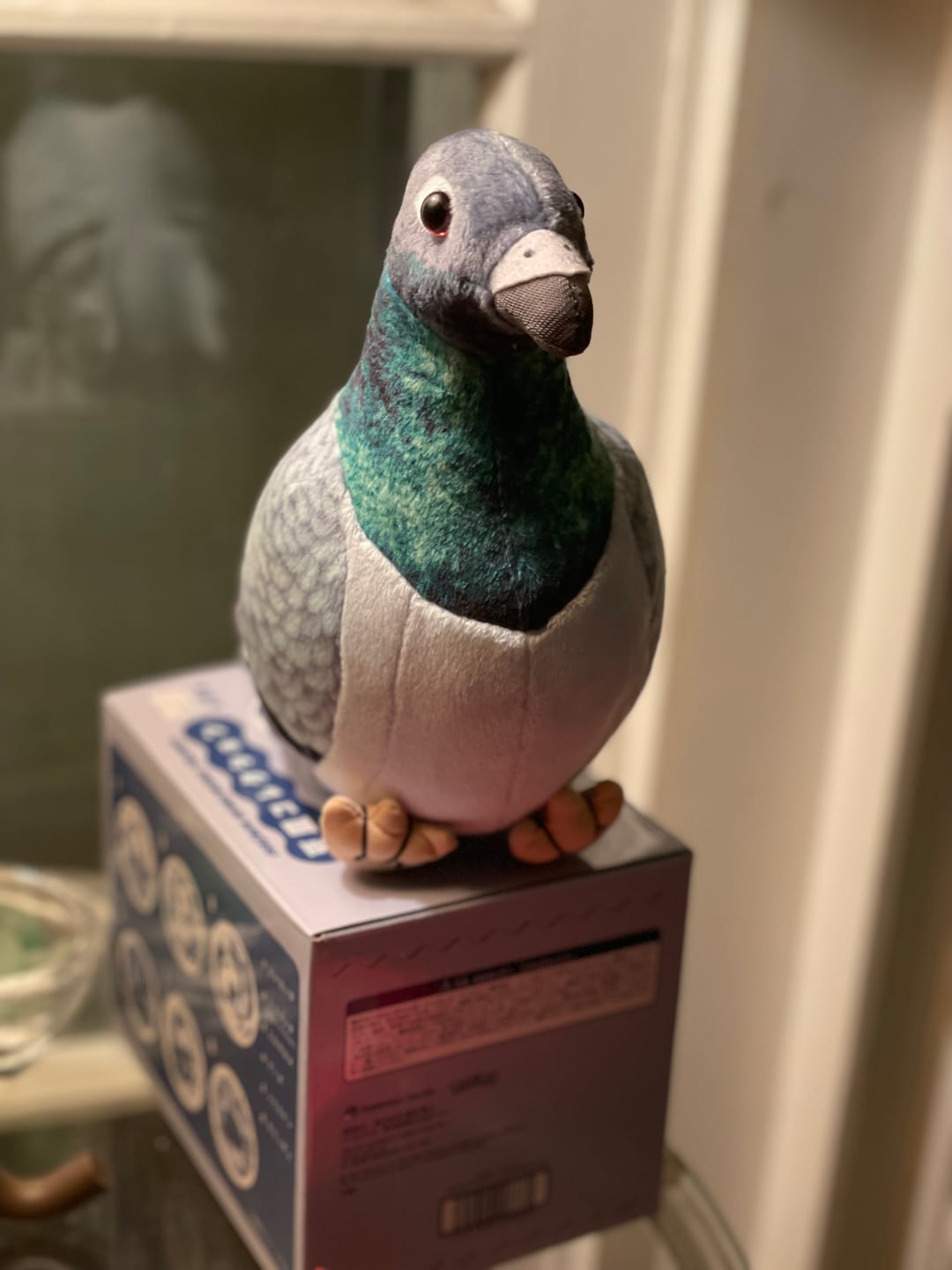 Customer photo review of Common Pigeon Bird Soft Stuffed Plush Toy