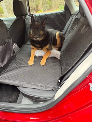 Customer's German Shepherd sitting on the black, quilted hammock seat cover installed in the back of a car.