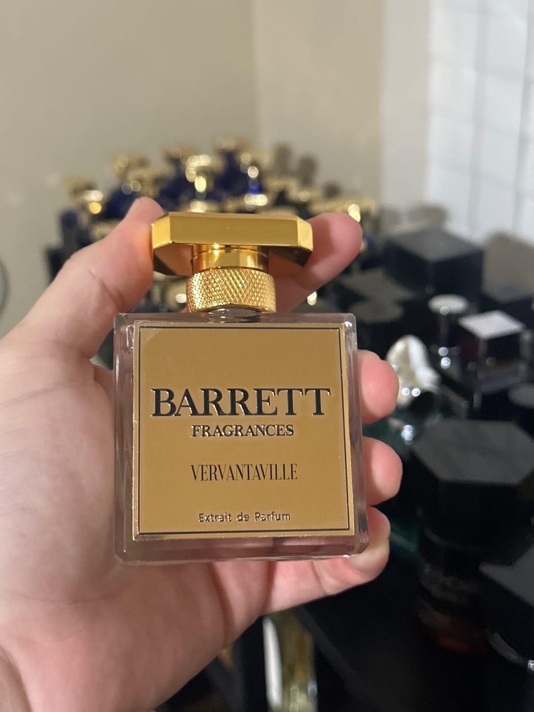 Customer photo review of Vervantaville inspired by Greenley