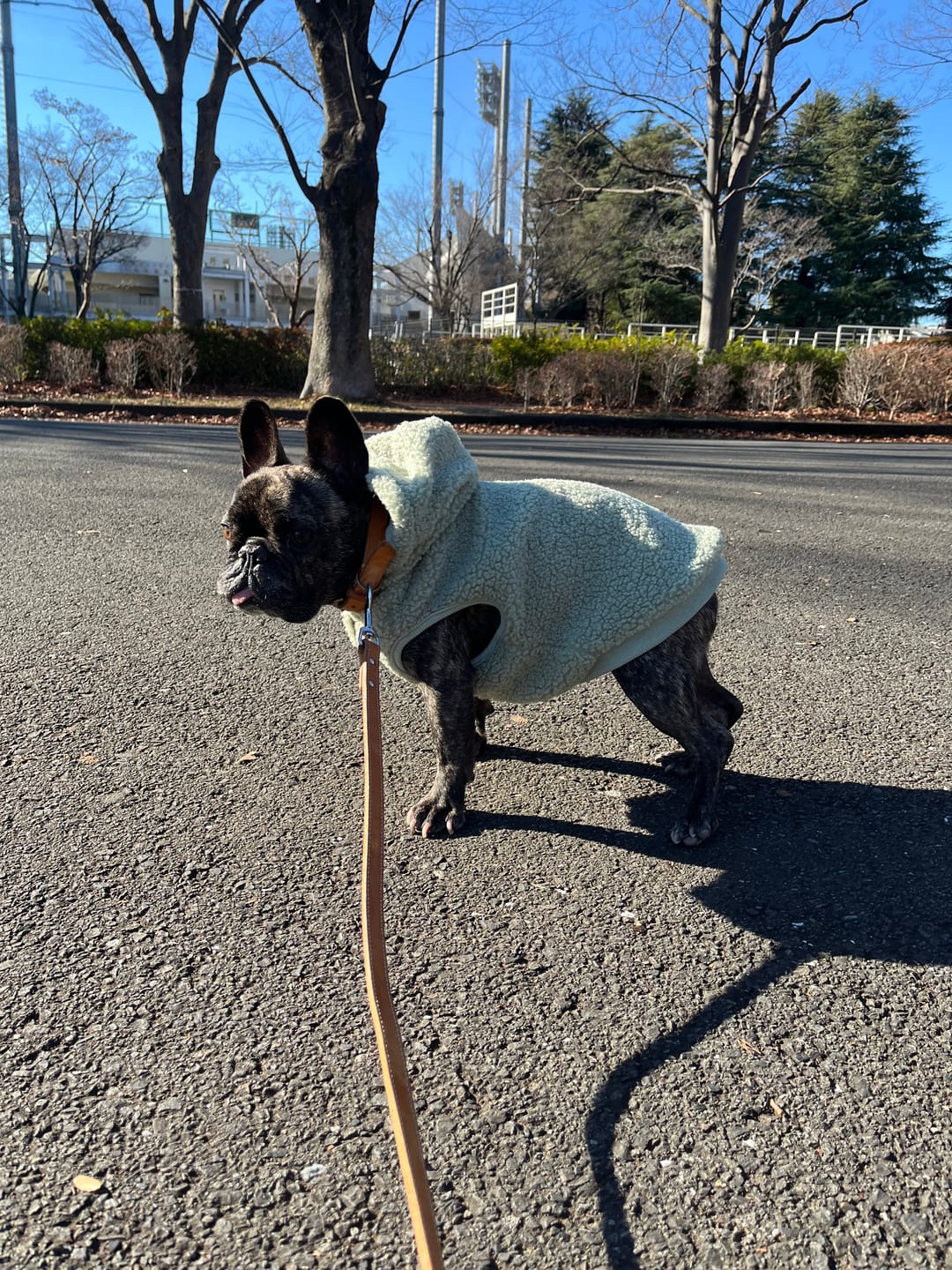 Customer photo review of Teddy Sherpa Dog Jacket - Light Green