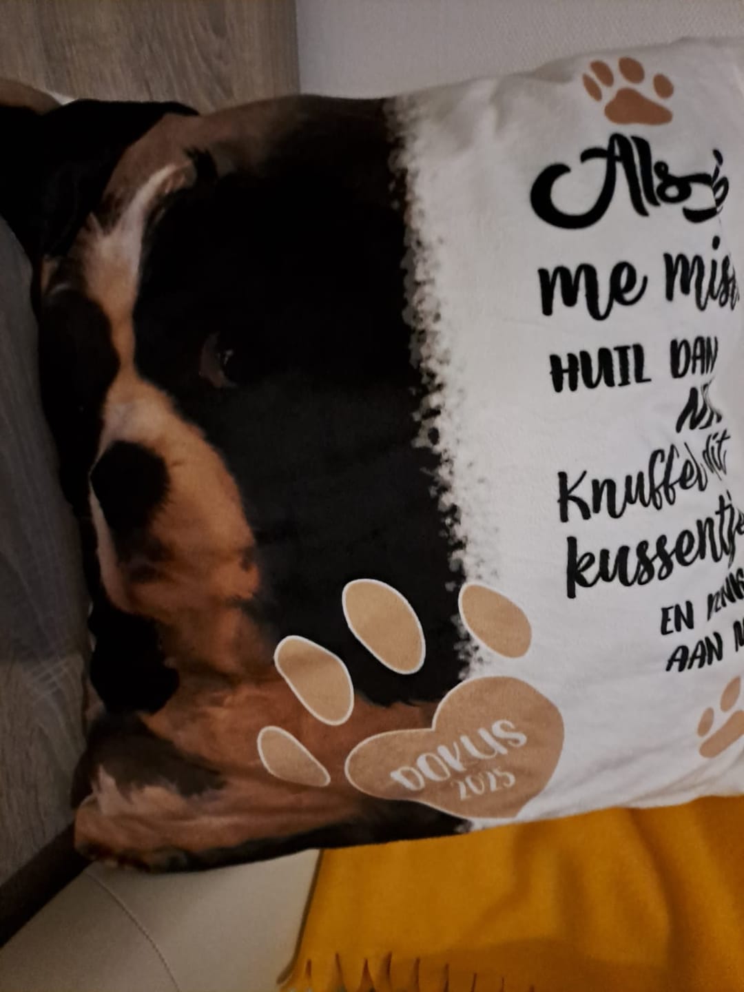 Customer photo review of Als je me mist - Gepersonaliseerd kussen