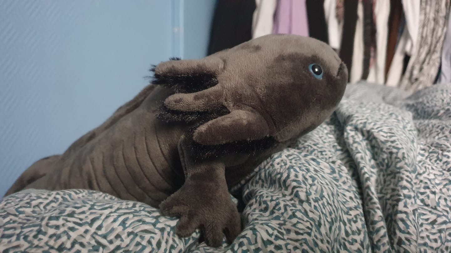 Customer photo review of Black Axolotl Soft Stuffed Plush Toy