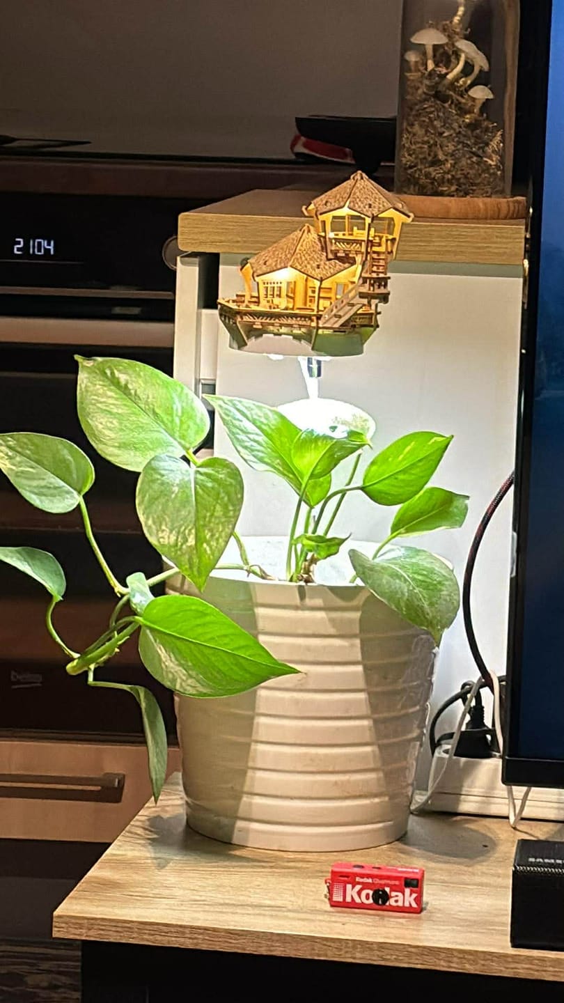 Customer photo review of Sunrise Terrace + Grow Light