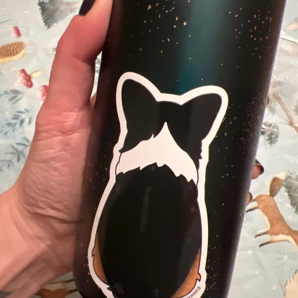 Customer photo review of Welsh Corgi Behind Sticker