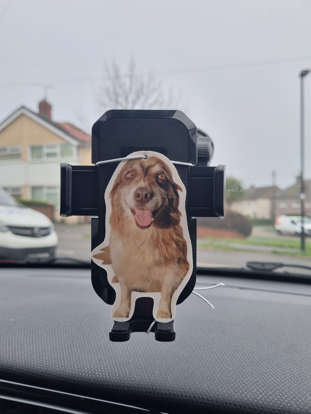 Customer photo review of Personalised Custom Car Air Freshener With Your Photo