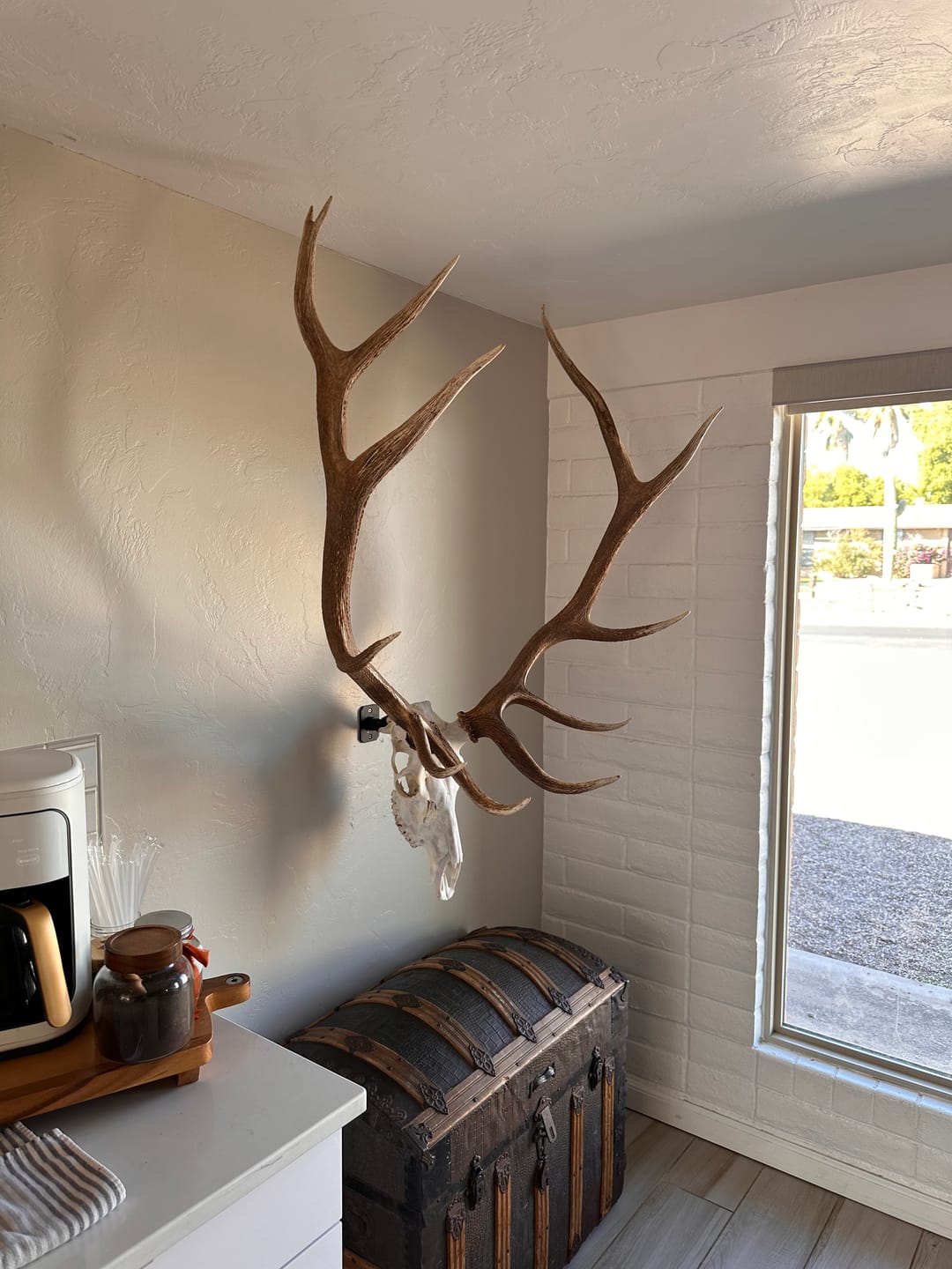 Customer photo review of SkulLok | Large Game