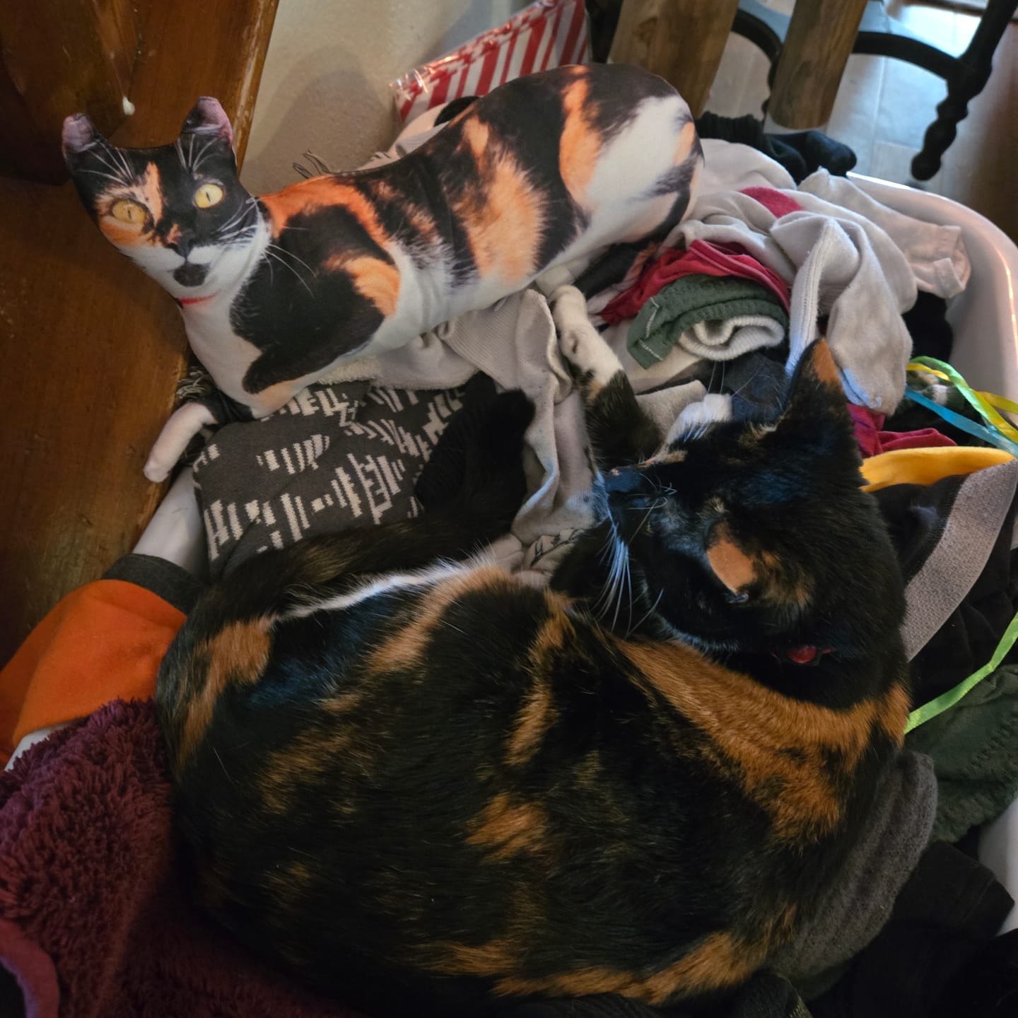 Customer photo review of Custom Pet Pillow