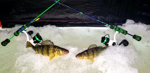 Customer photo review of Custom Carbon Ice Rod