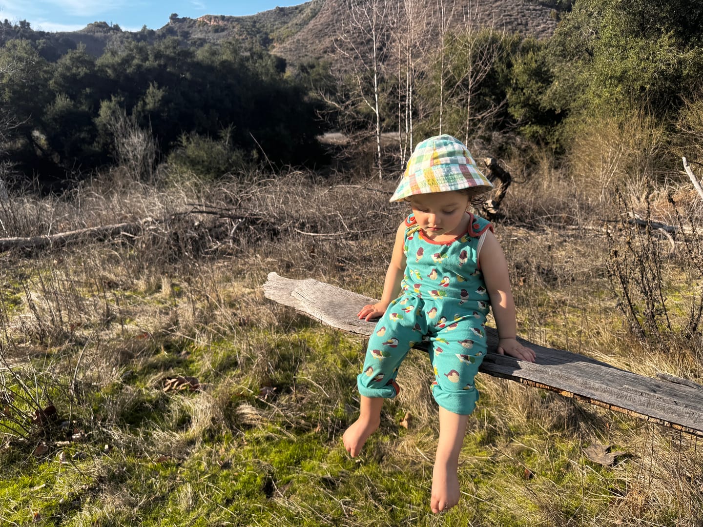 Customer photo review of Garden Birds Everyday Dungarees
