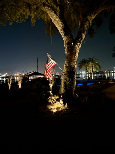 Customer photo review of 3' x 5' American Flag Set