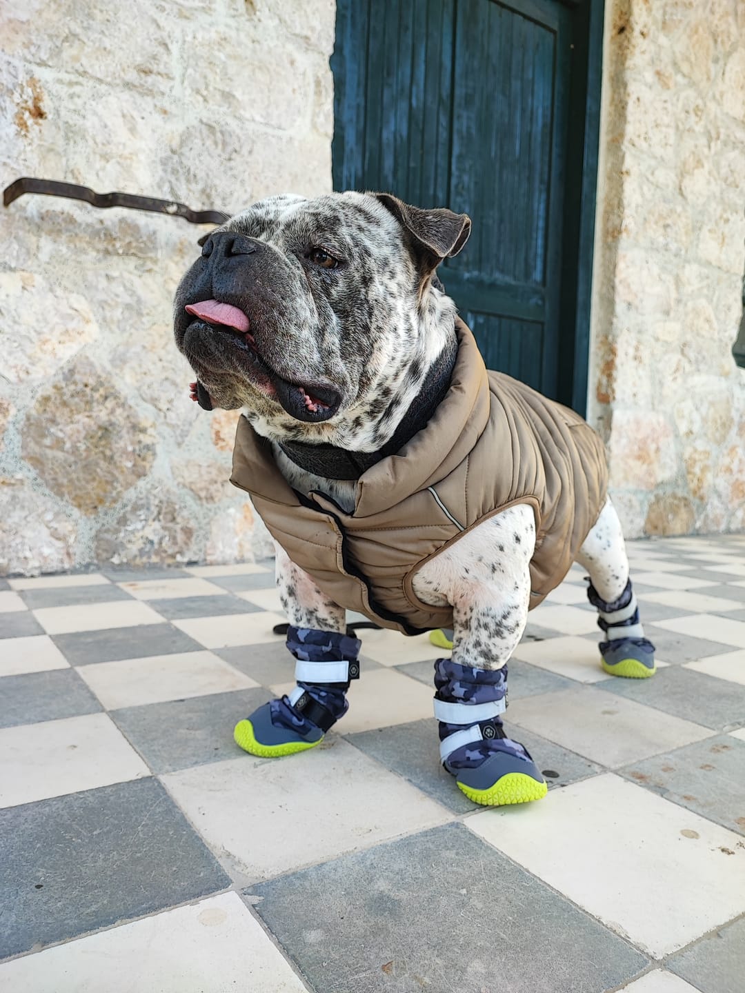 Customer photo review of WarmShield Water-Resistant Jacket - Tan