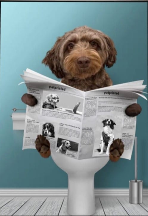Customer photo review of Important meeting - Personalized Poster